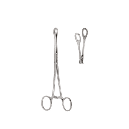 SPONGE HOLDING FORCEPS 8 REG