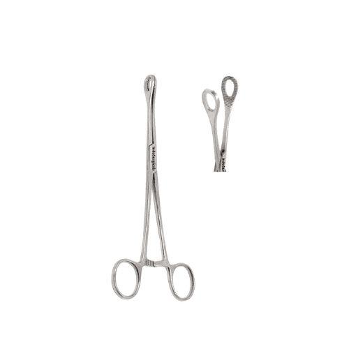 SPONGE HOLDING FORCEPS 8 REG