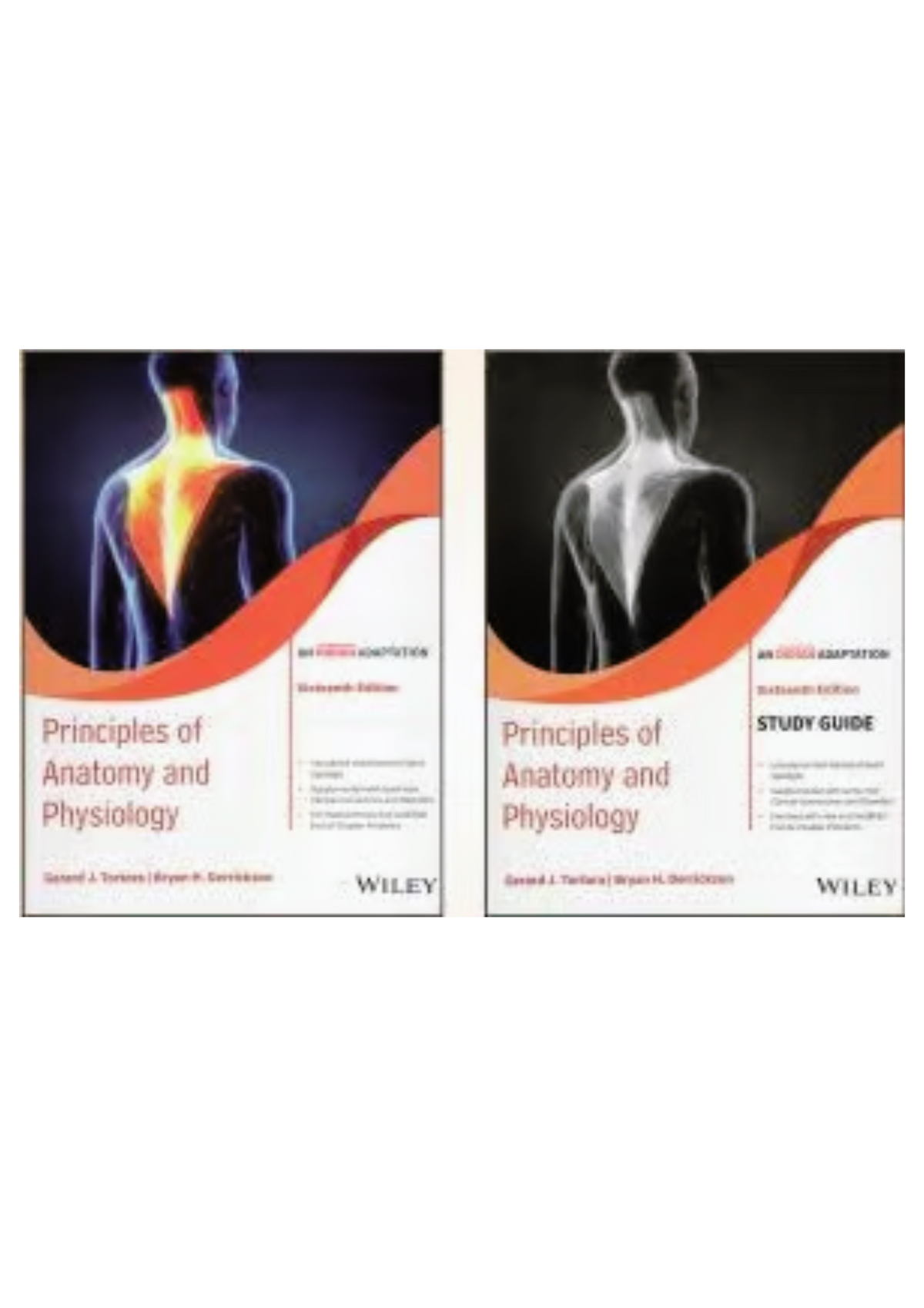 Tortoras Principles Of Anatomy And Physiology with Study Guide Global Edition by Gerard J Tortora