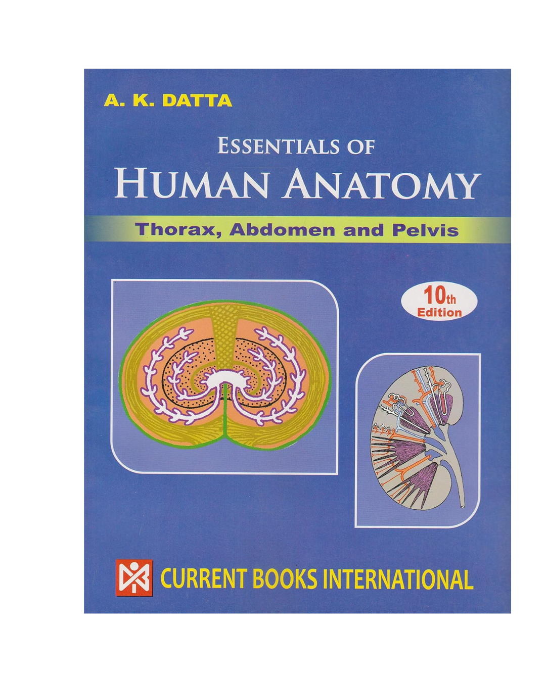 Essentials Of Human Anatomy Thorax, Abdomen And Pelvis Vol-I by A K Datta