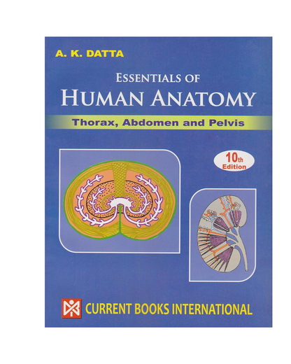 Essentials Of Human Anatomy Thorax, Abdomen And Pelvis Vol-I by A K Datta